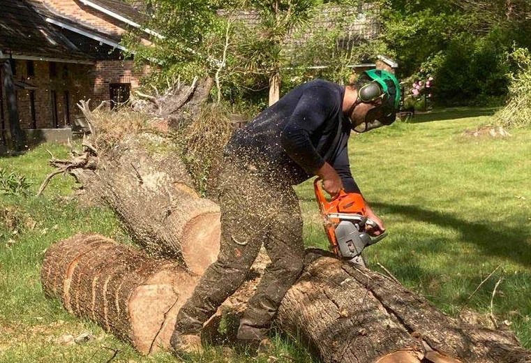 cutting up a tree with a chainsaw