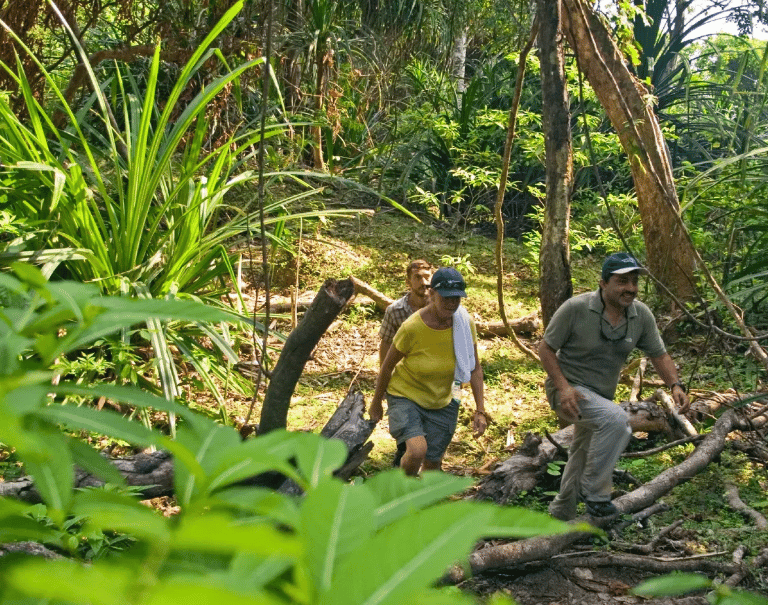 Kalapathar Beach Trekking