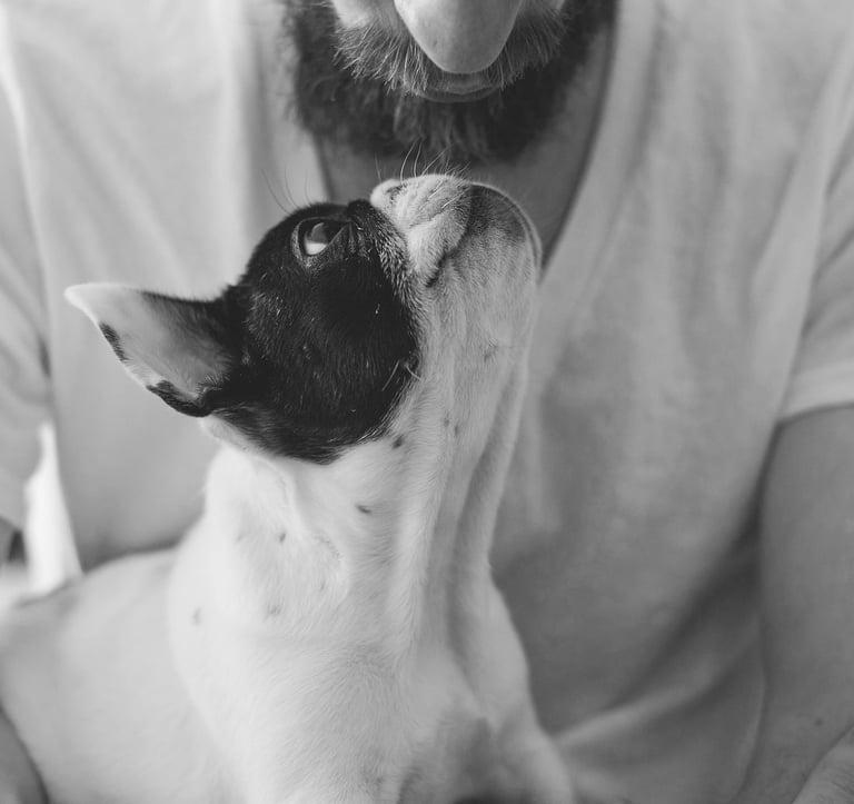soins animaux signes