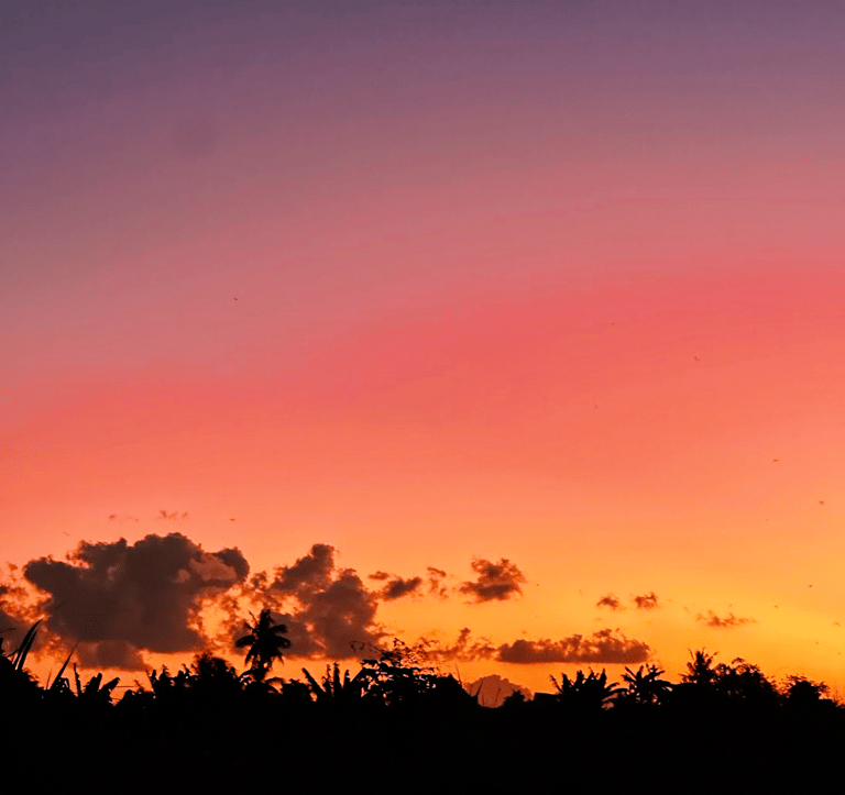 a sunset sky with a silhouette of a person flying a kite
