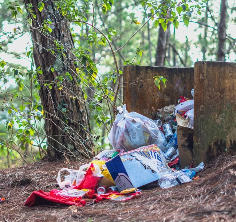 Various garbage thrown in the nature