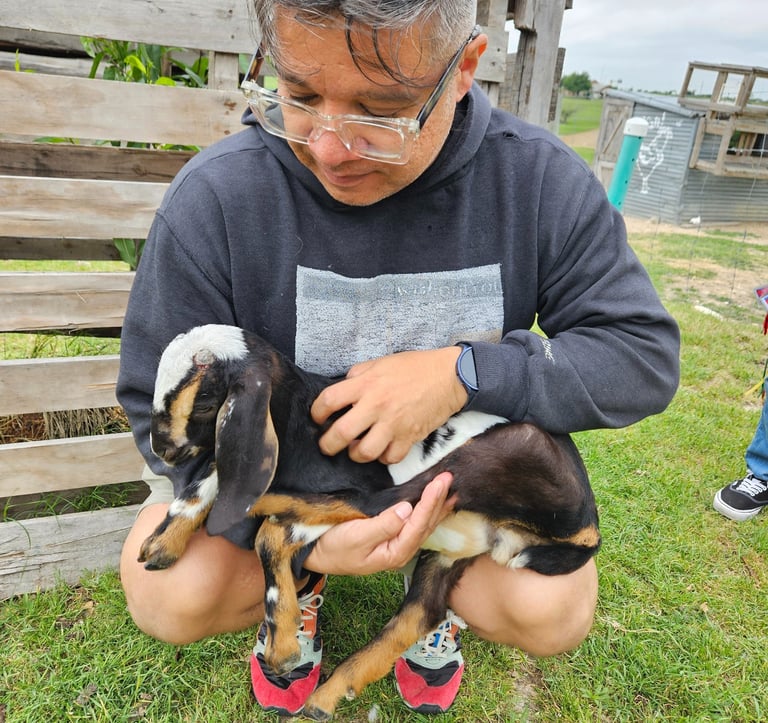 A client getting to hold a baby goat at the care farm.
