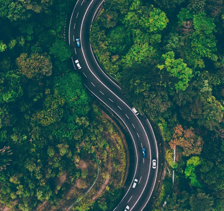 an overhead shot of winding road surrounded by lush forest