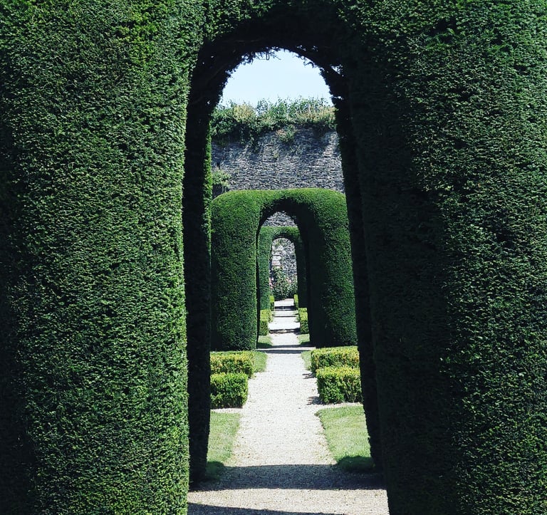 un passage entre différentes portes pour accéder à notre inconscient