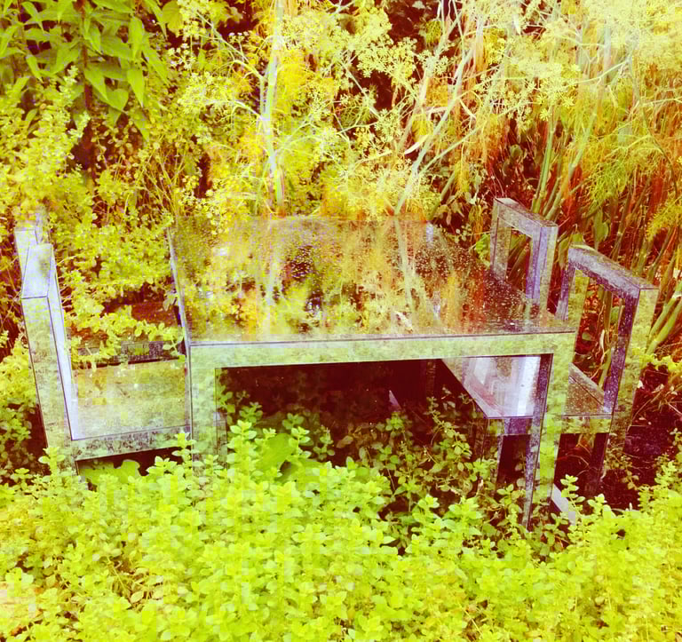 mal-être représenté par une table envahie par la végétation à l'instar de notre inconscient envahi par nos blessures du passé