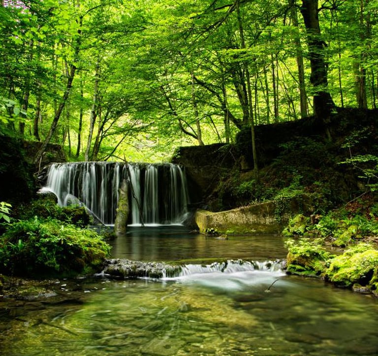 Rolling hills and forests of Žumberak-Samoborsko Gorje Nature Park with cultural heritage sites.