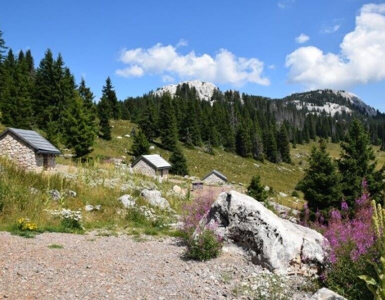 Scenic landscape of Northern Velebit National Park with alpine meadows, rocky peaks and sea view.