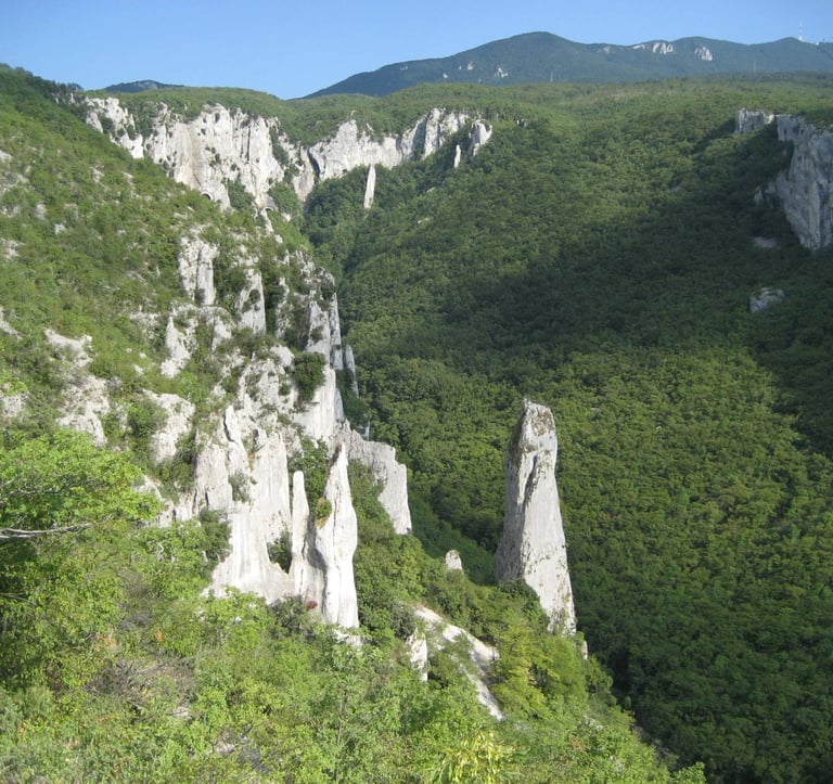 Hiking path leading to the summit of Učka mountain with panoramic views of Istria and Kvarner Bay.