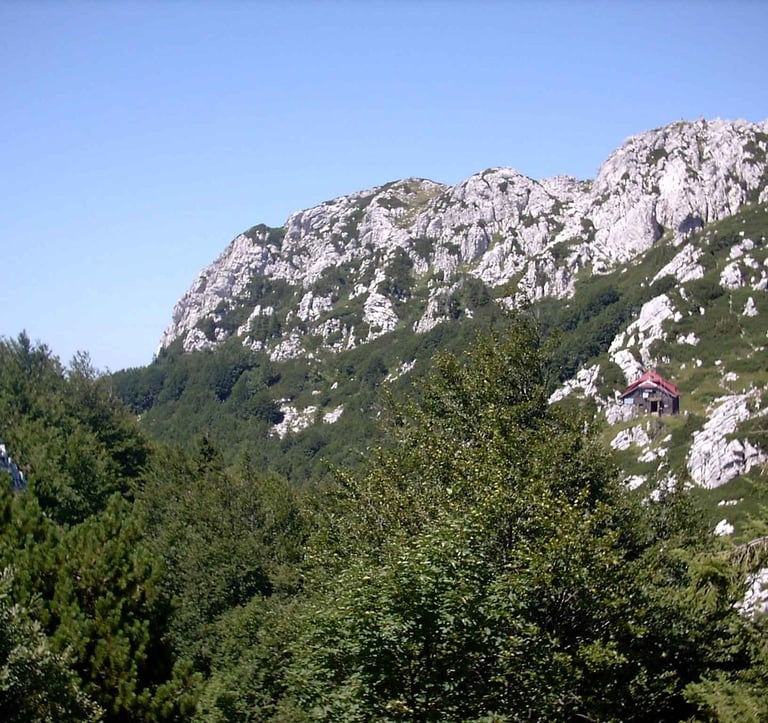 Panoramic view of Risnjak National Park's rugged mountains and forested slopes.