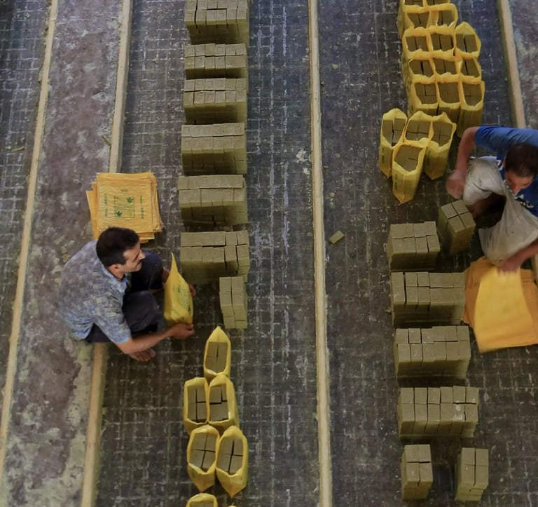 Operarios empaquetando muestras listas para despachar.