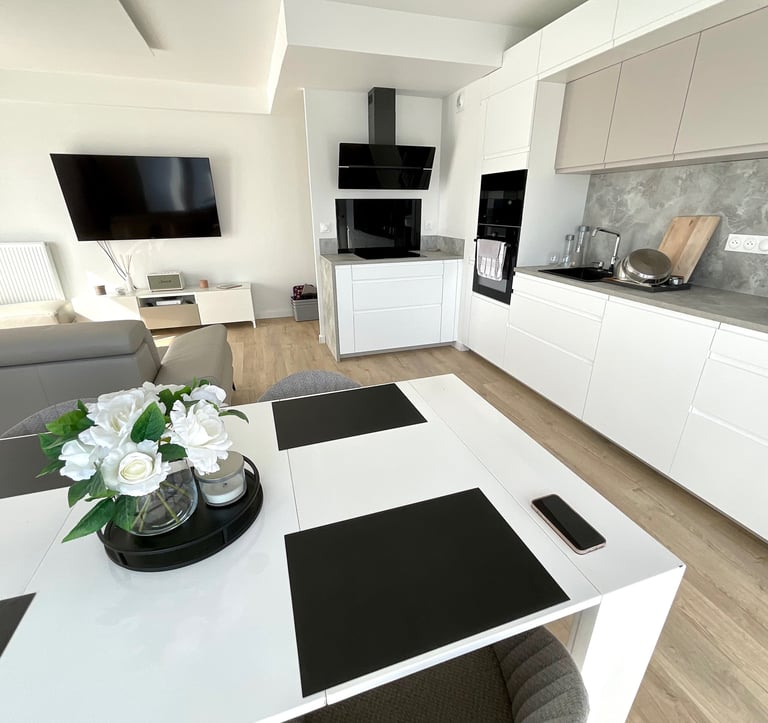 Renovaiton salon, renovation appartement, renovation cuisine, Champs-sur-Marne