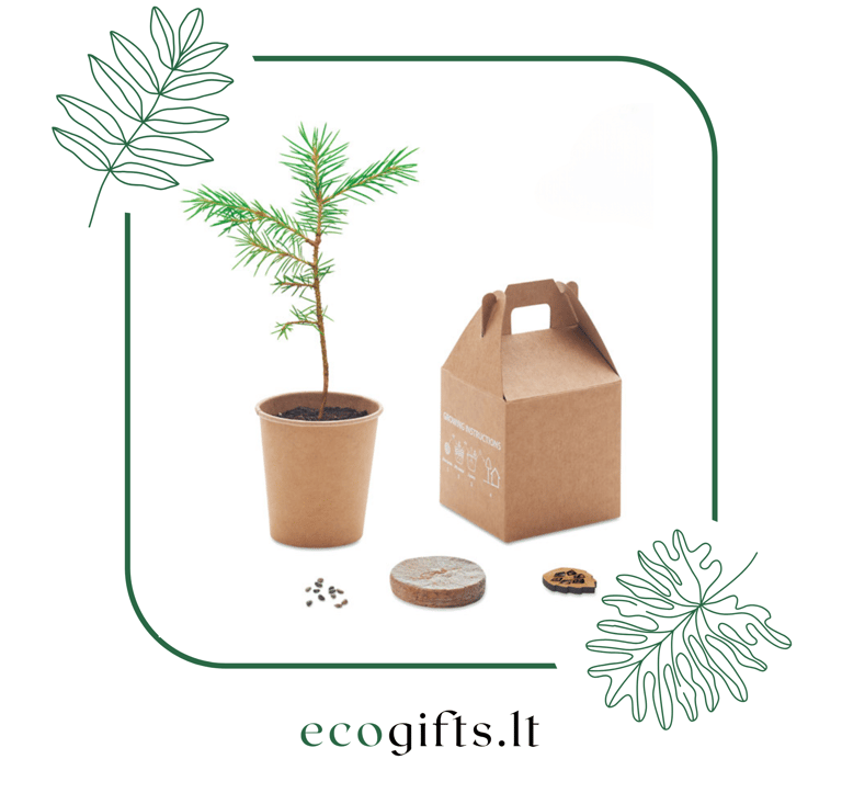 Ekologiškos ir pasodinamos verslo dovanos | ecogifts.lt 