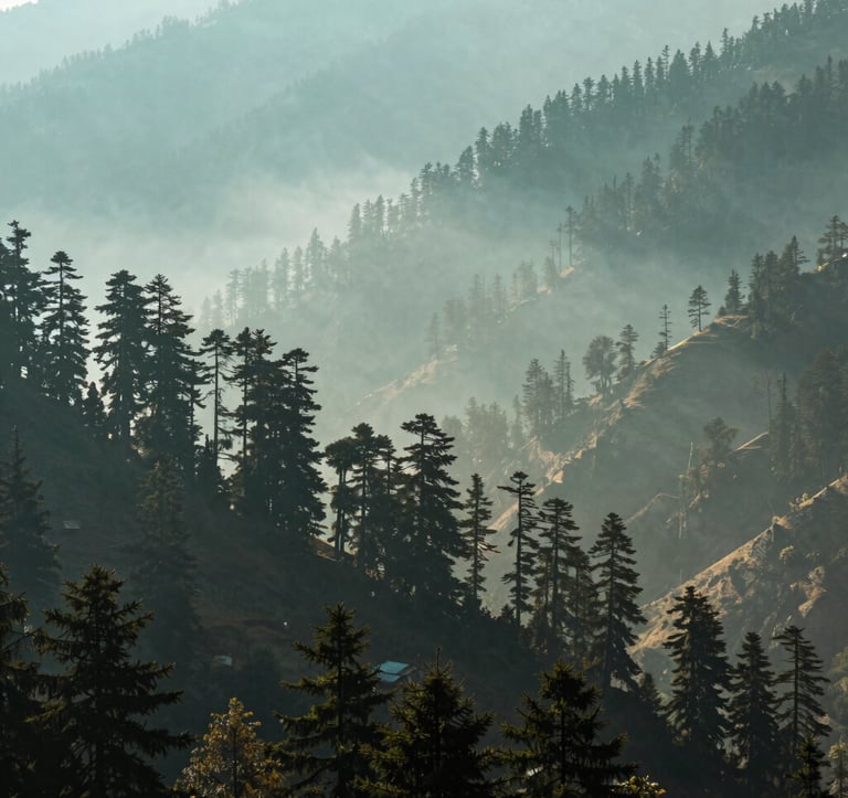 A panoramic view of the misty cedar forests and mountain ridges of Manali, India. The sunlight filters through the trees, casting a teal and pale green glow over the valley. South Asian / Indian hill station scenery.