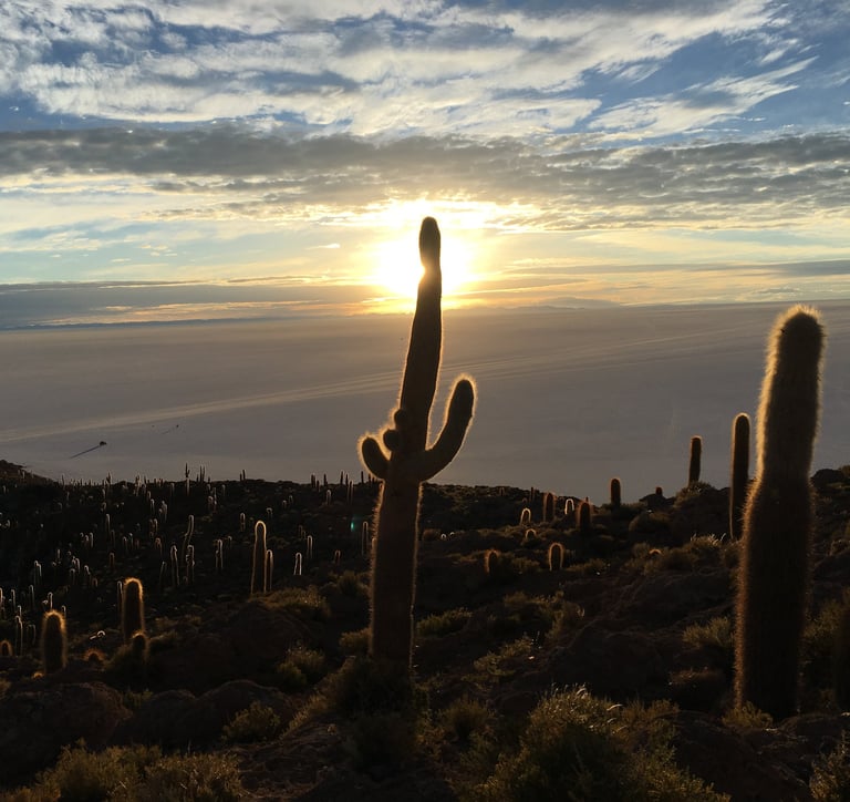 Lever de soleil sur l’île Incahuasi du Salar d’Uyuni, derriere un cactus géant, Ayrama voyage