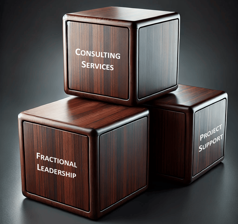 Three stacked building blocks labeled Fractional Leadership, Consulting Services, & Project Support.