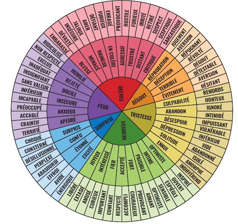 roue des émotions