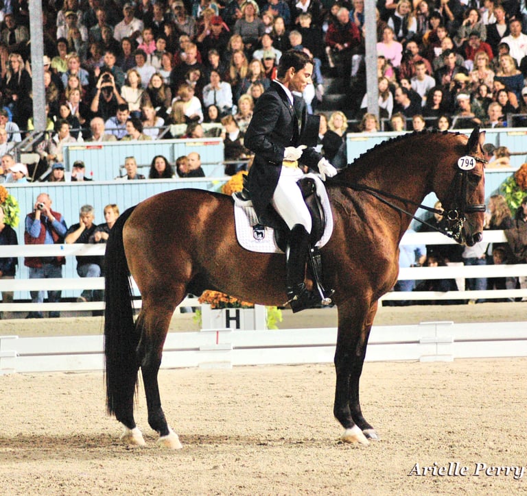 Rick Silvia, HRH Fantasma, Dressage at Devon Grand Prix 2007