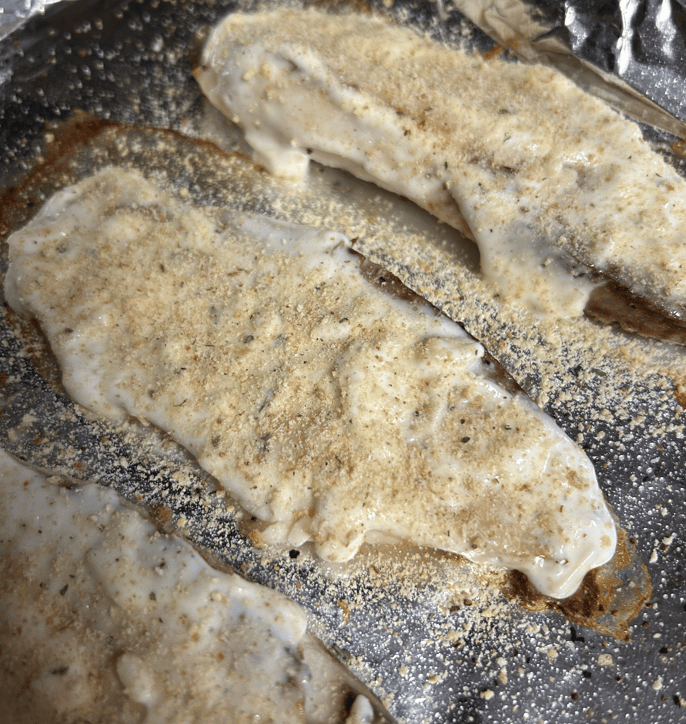 Broiled Talapia seasoned and breaded but not cooked yet, ready to go in the oven for final step.