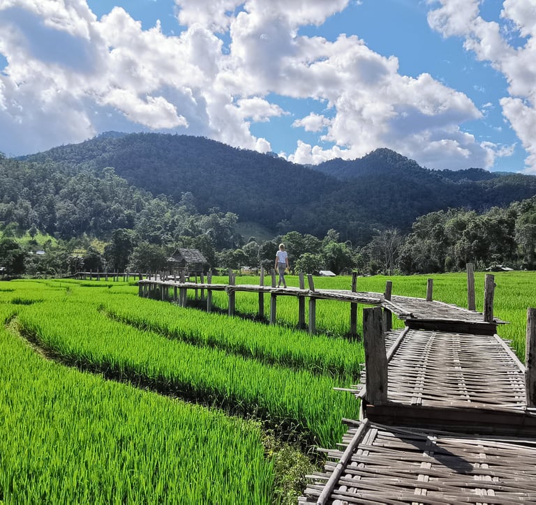 Asia travel guides
