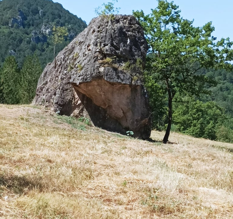Another angle