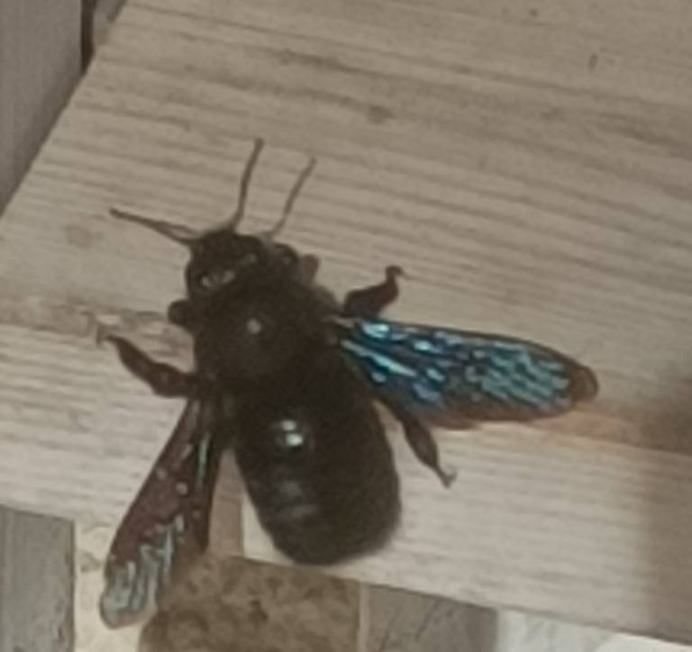 A very special visitor