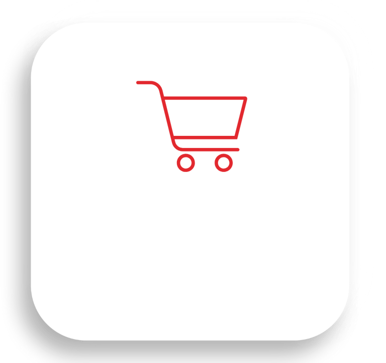 siti web ecommerce
