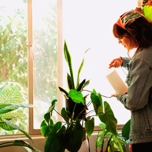 8 Pillars of Self Care