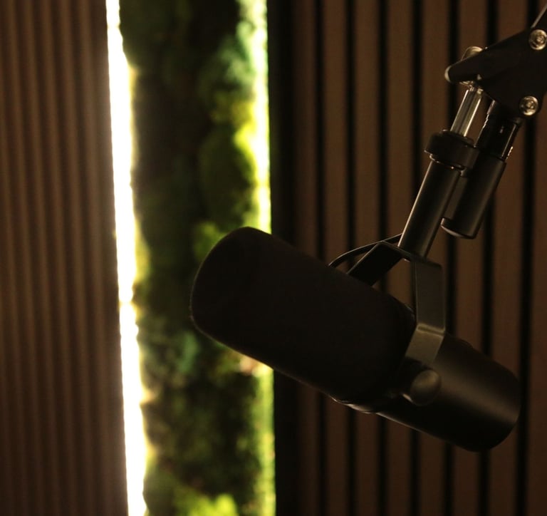 a microphone in a recording studio with a microphone