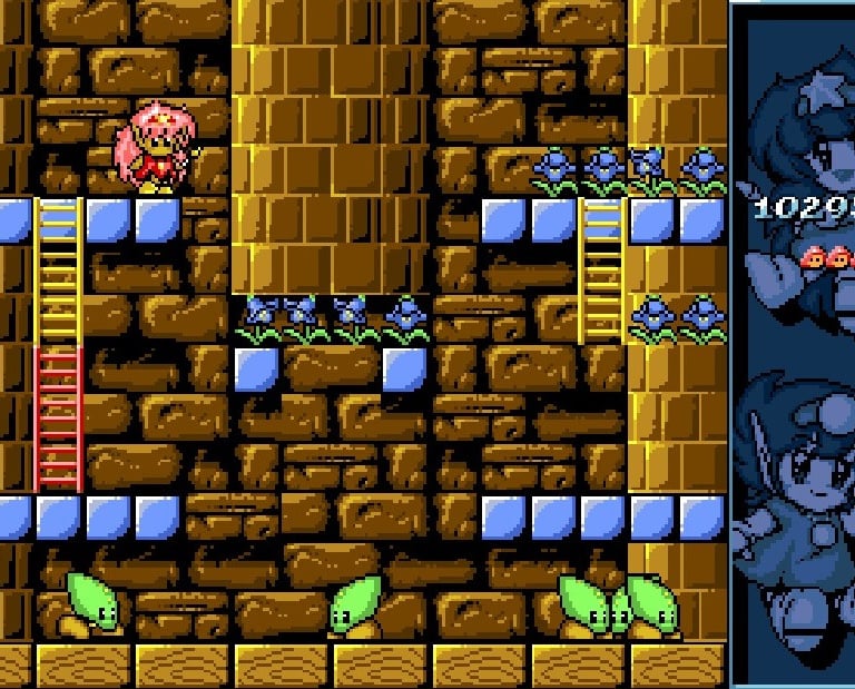 Amiga Rod-land - Extra Levels