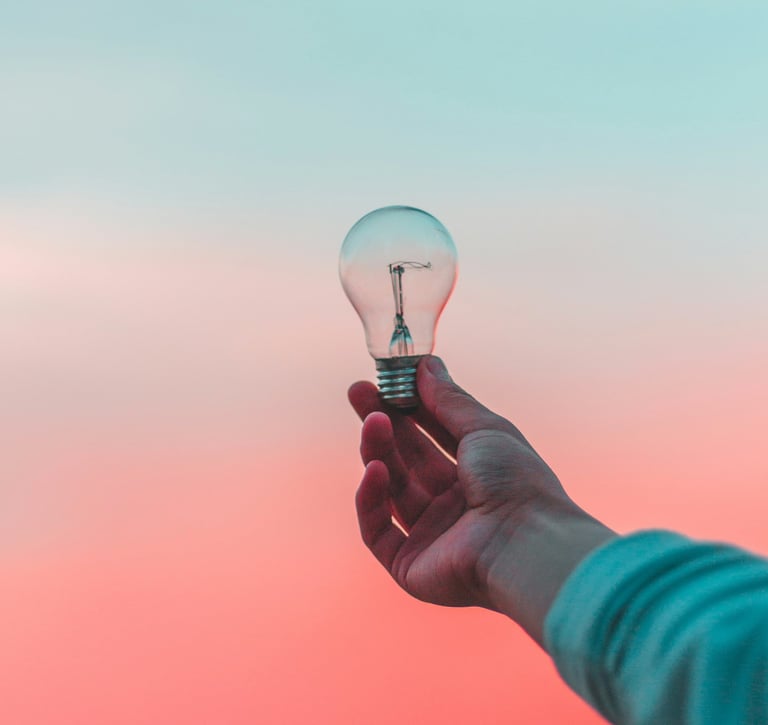 a person holding a light bulb in their hand