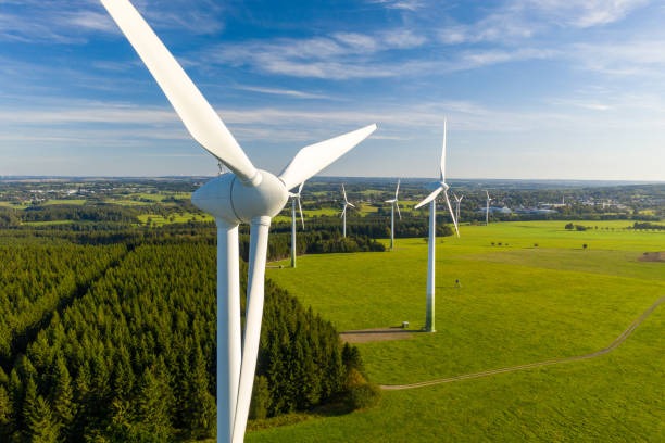 wind turbines in a green field