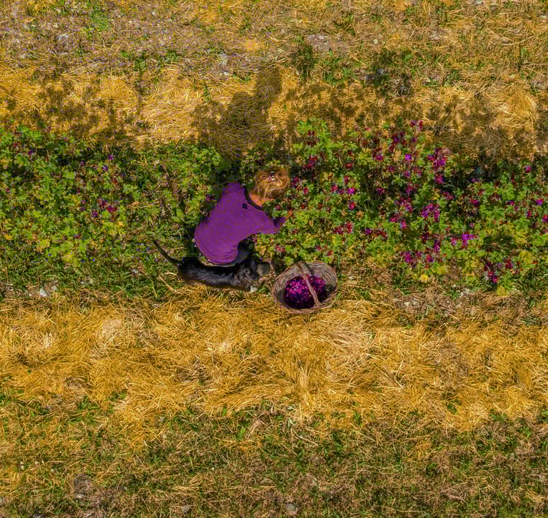 a woman in a purple shirt is sitting on a field