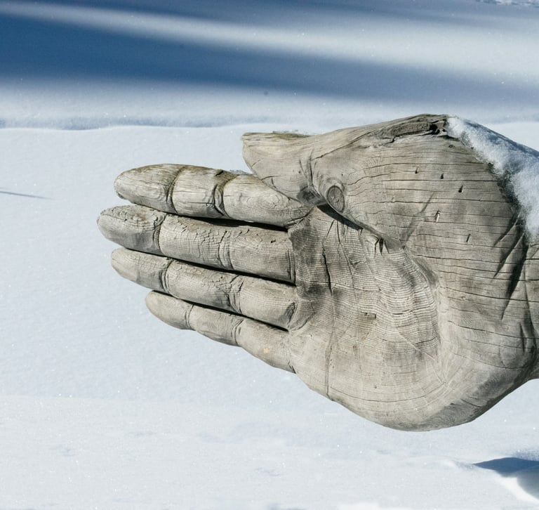 Photo by Brigitta Schneiter on Unsplash to show how to beat the winter blues