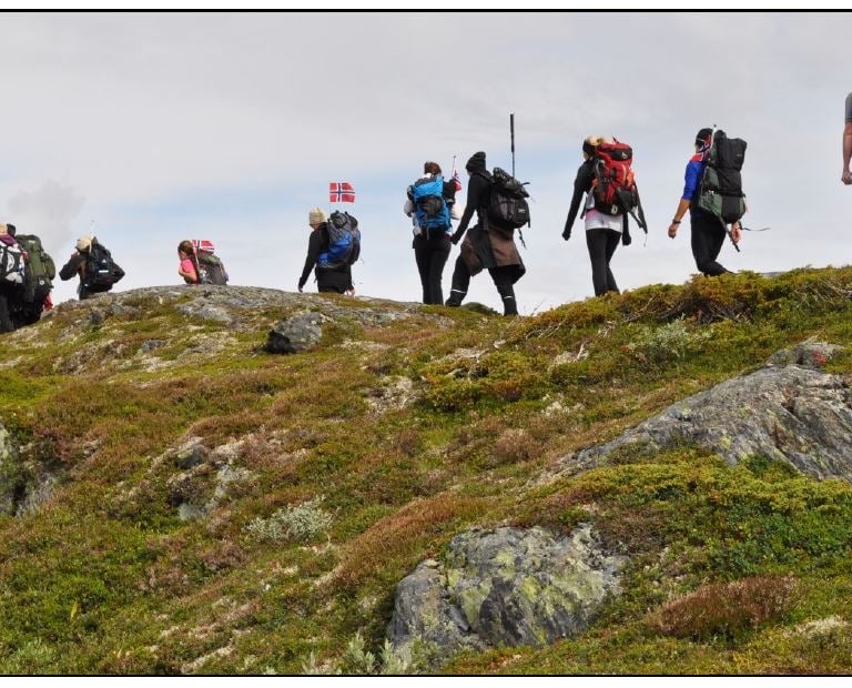 a line of hikers on mossy rock-Telelaget