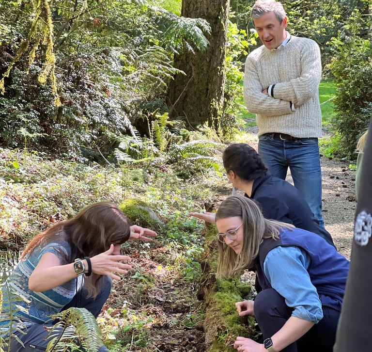team exploring the Bainbridge Island forest during a guided team building hike