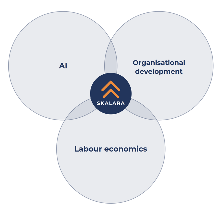 SKALARA approach: Venn diagram of AI, organisational development and labour economics