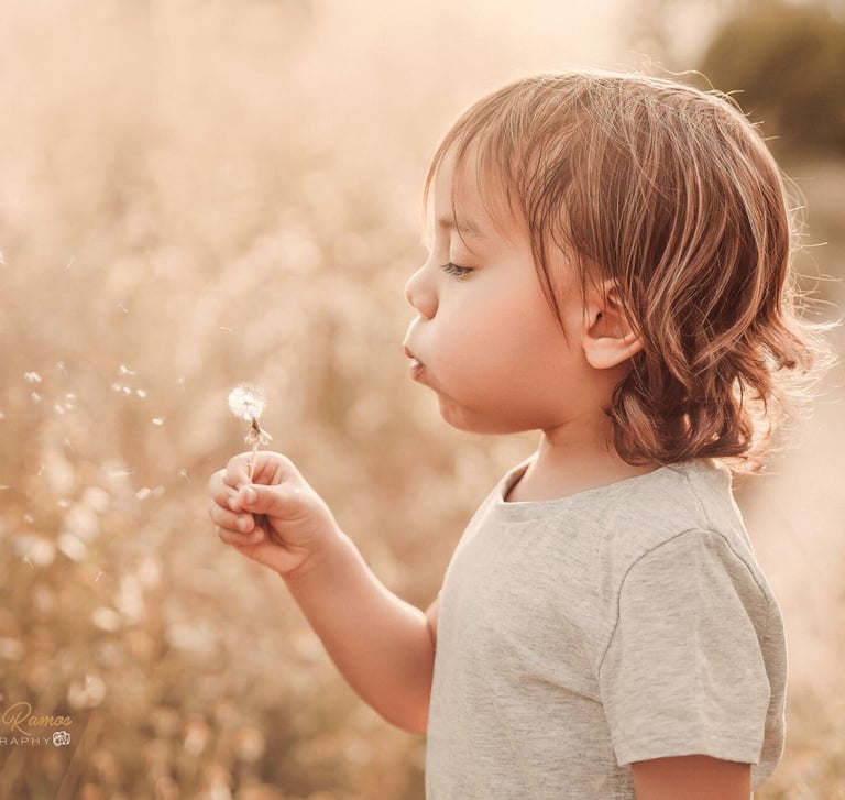 niño soplando un diente de león