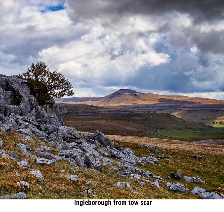 a lone tree on a rocky mountain side facing ingleborough fell