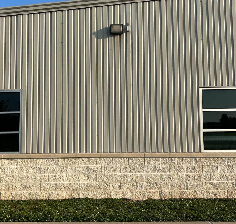 Building after mold and mildew removal