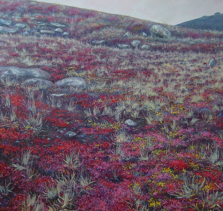 hill in Iqaluit with red autumn colour