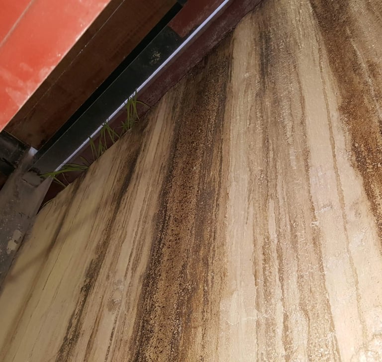 Lateral Damp
