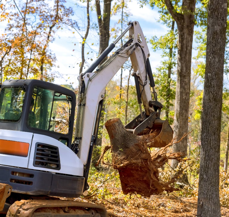 mini-excavator-clearing-tree-stump.png