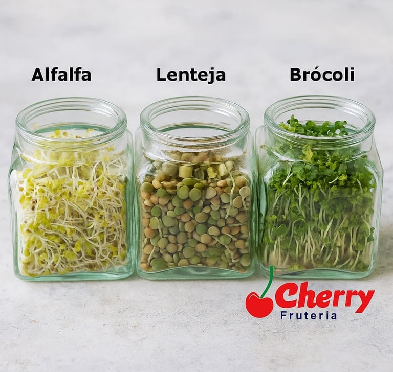 Frascos con alfalfa, lenteja y brócoli.