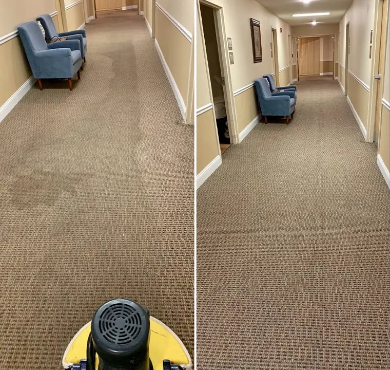 Best Office Carpet Cleaning Service Delhi NCR