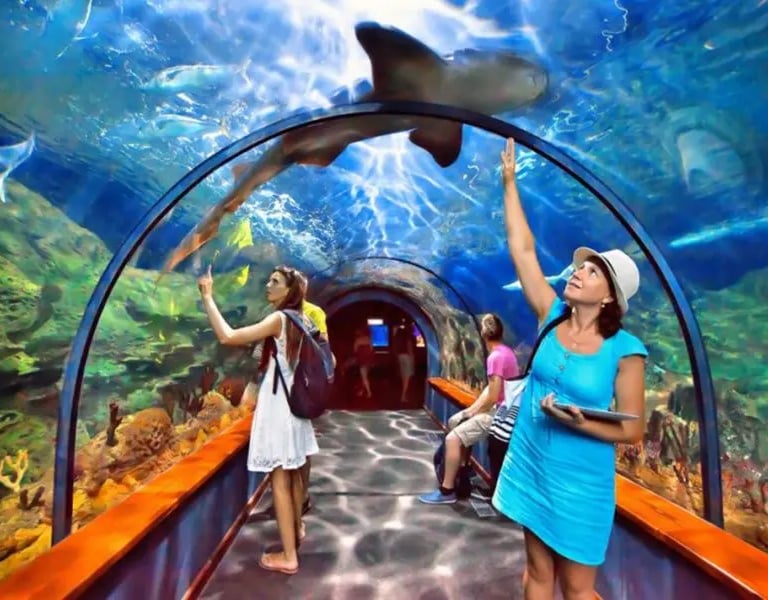 experiencia accesible en parque de atracciones