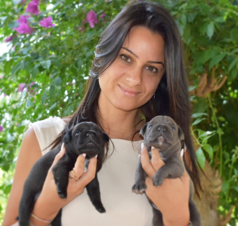 ragazza cuccioli staffordshire bull terrier allevamento etico enci sicilia