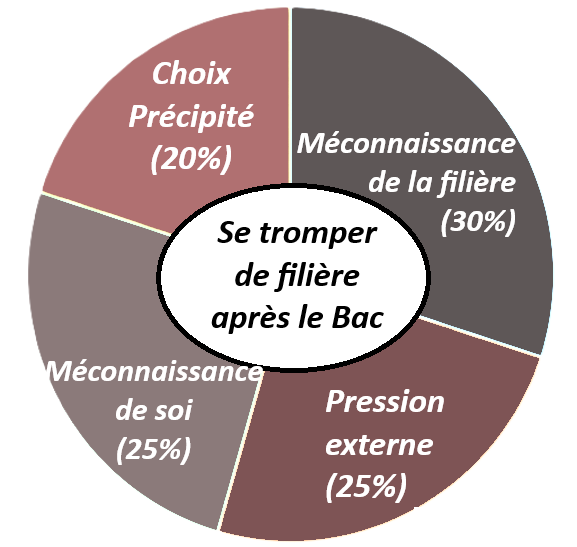 kallisté  - ne pas se tromper de filière après le Bac