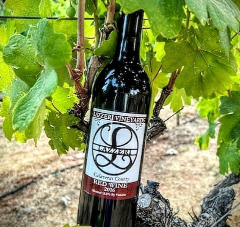 A wine bottle with the brand name Lazzeri Vineyards in front of green leaves