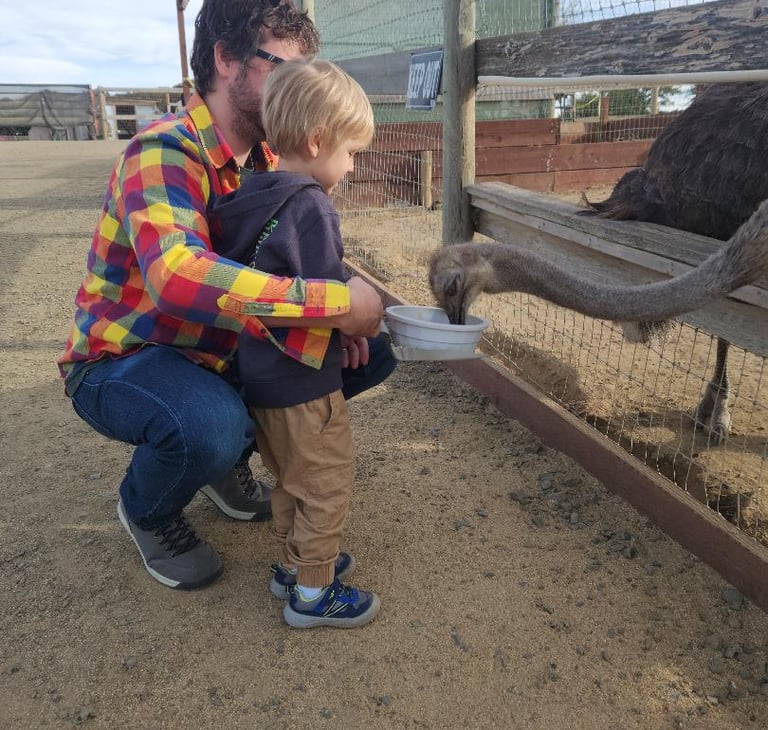 Kids feeding ostriches at OstrichLand USA in Solvang, California, a fun and family-friendly animal experience