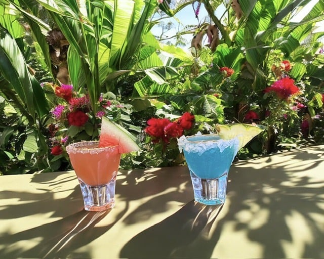 Interactive shots Bender Mixology Services